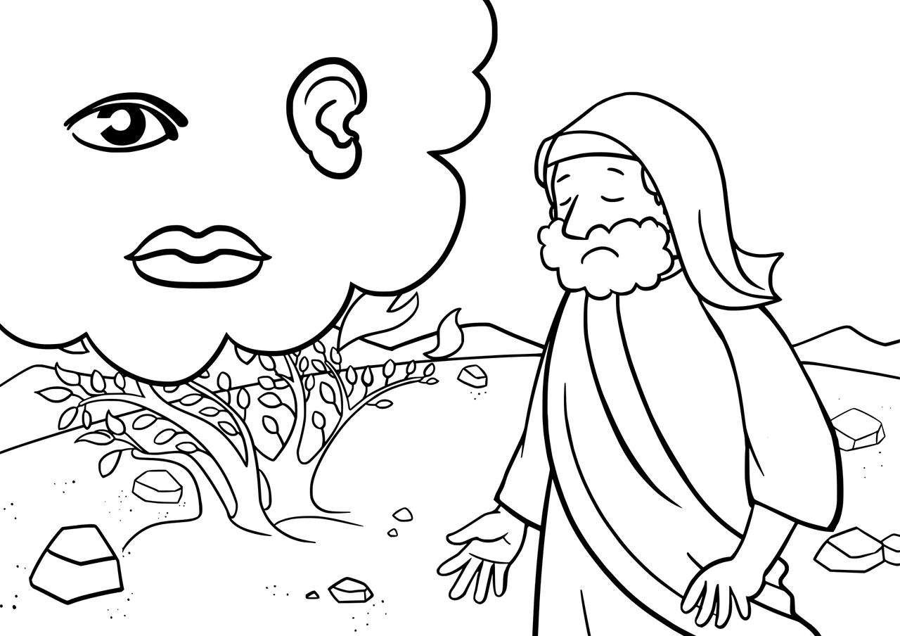 花舞花落泪 第22页