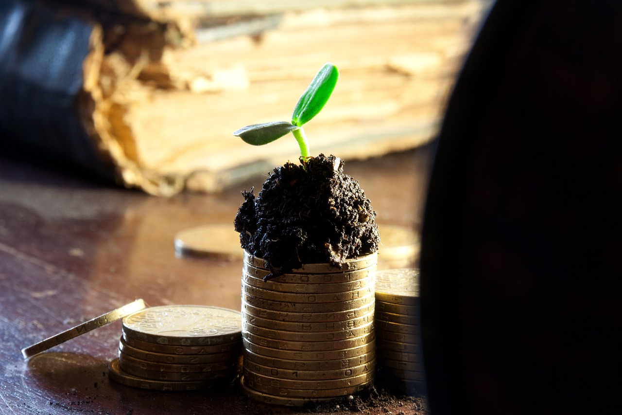 黄金最新价格动态分析与趋势预测