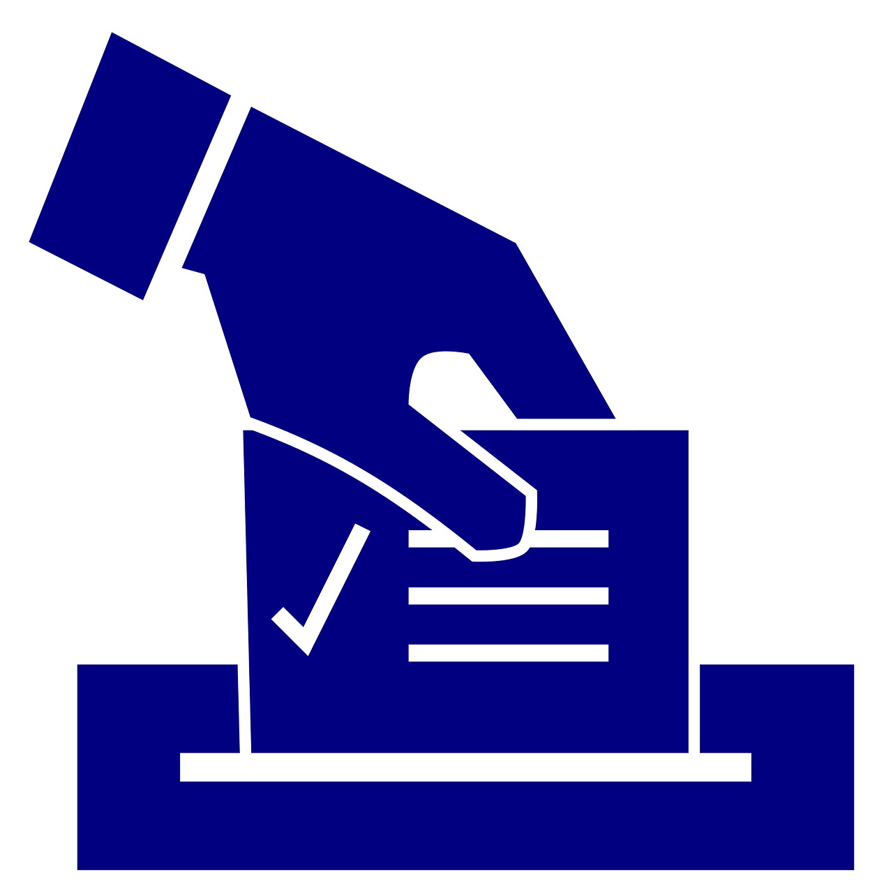 美国大选投票最新情形及分析概述
