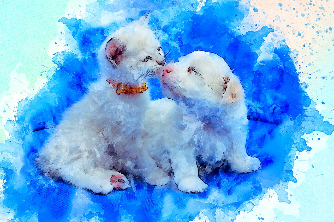 激情四月，雪橇犬竞技盛宴