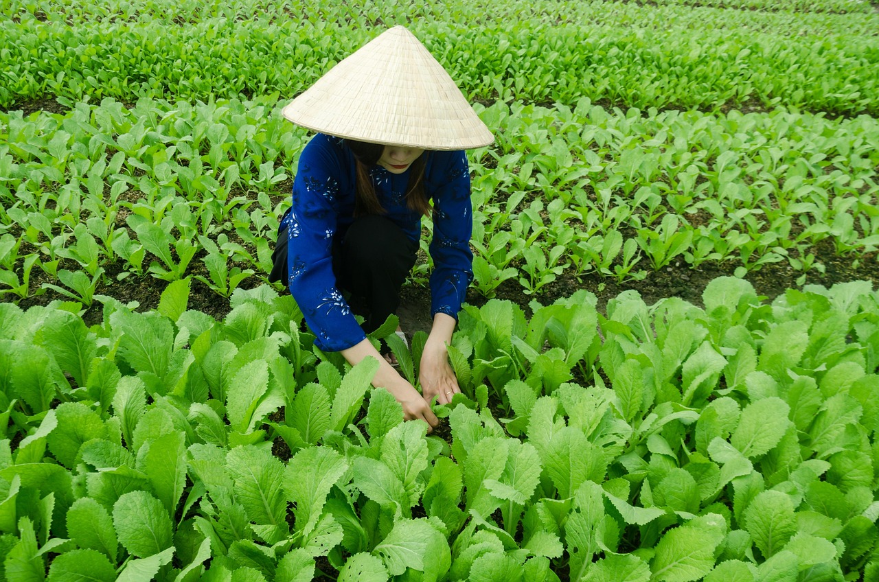 四月新兴行业动态概览，行业最新发展动态解析