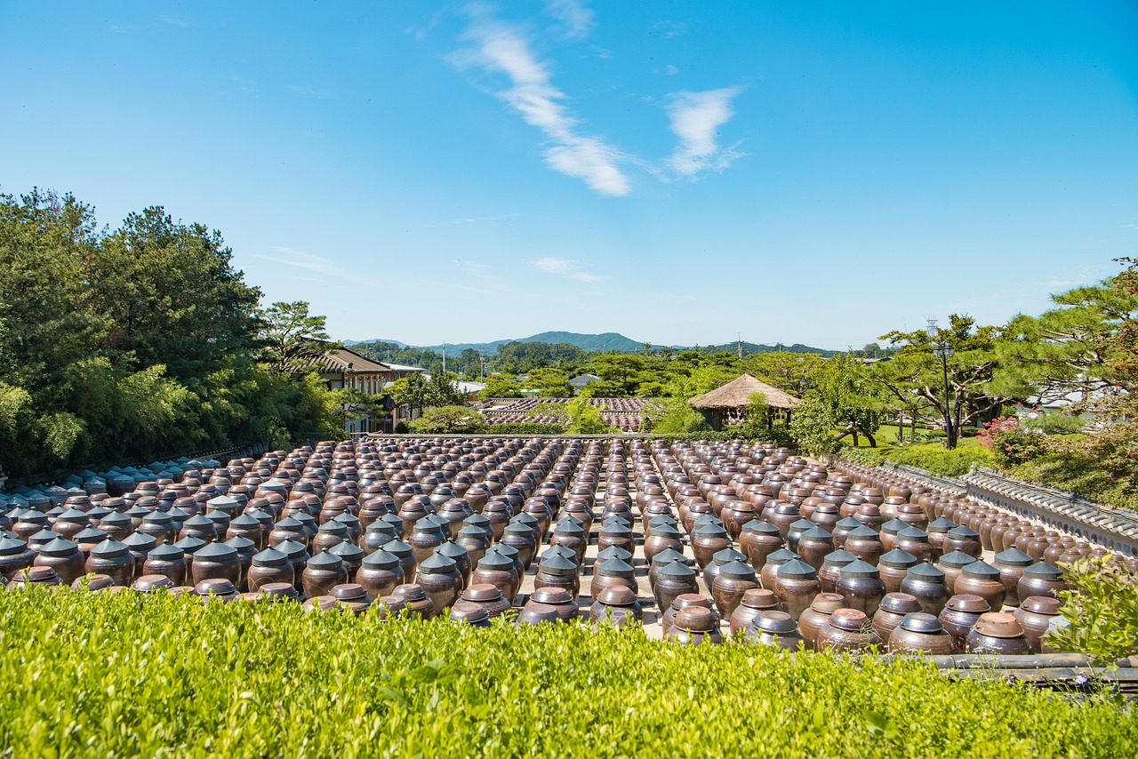 五月柯桥农房澜山最新资讯揭秘，乡村风貌与居住新动向探索